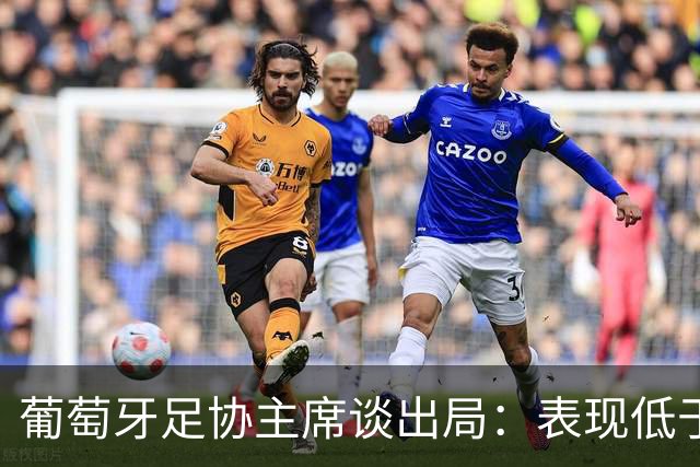 葡萄牙足协主席谈出局：表现低于预期，与球队实力不相称